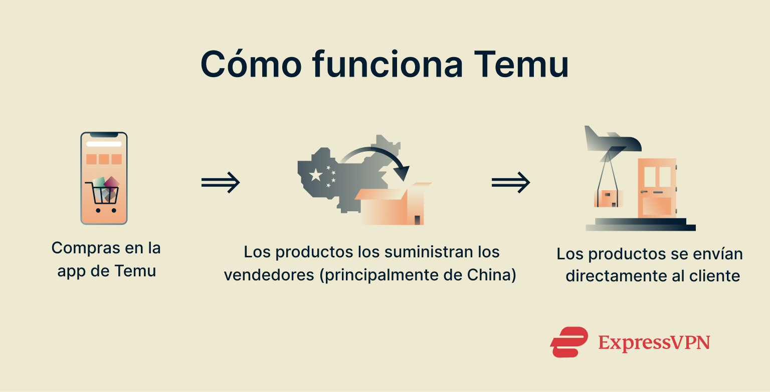 Infographic showing how Temu works