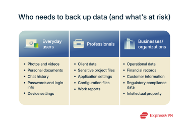 An overview of what everyday users, professionals, and businesses/organizations could lose if they don't back up their data.