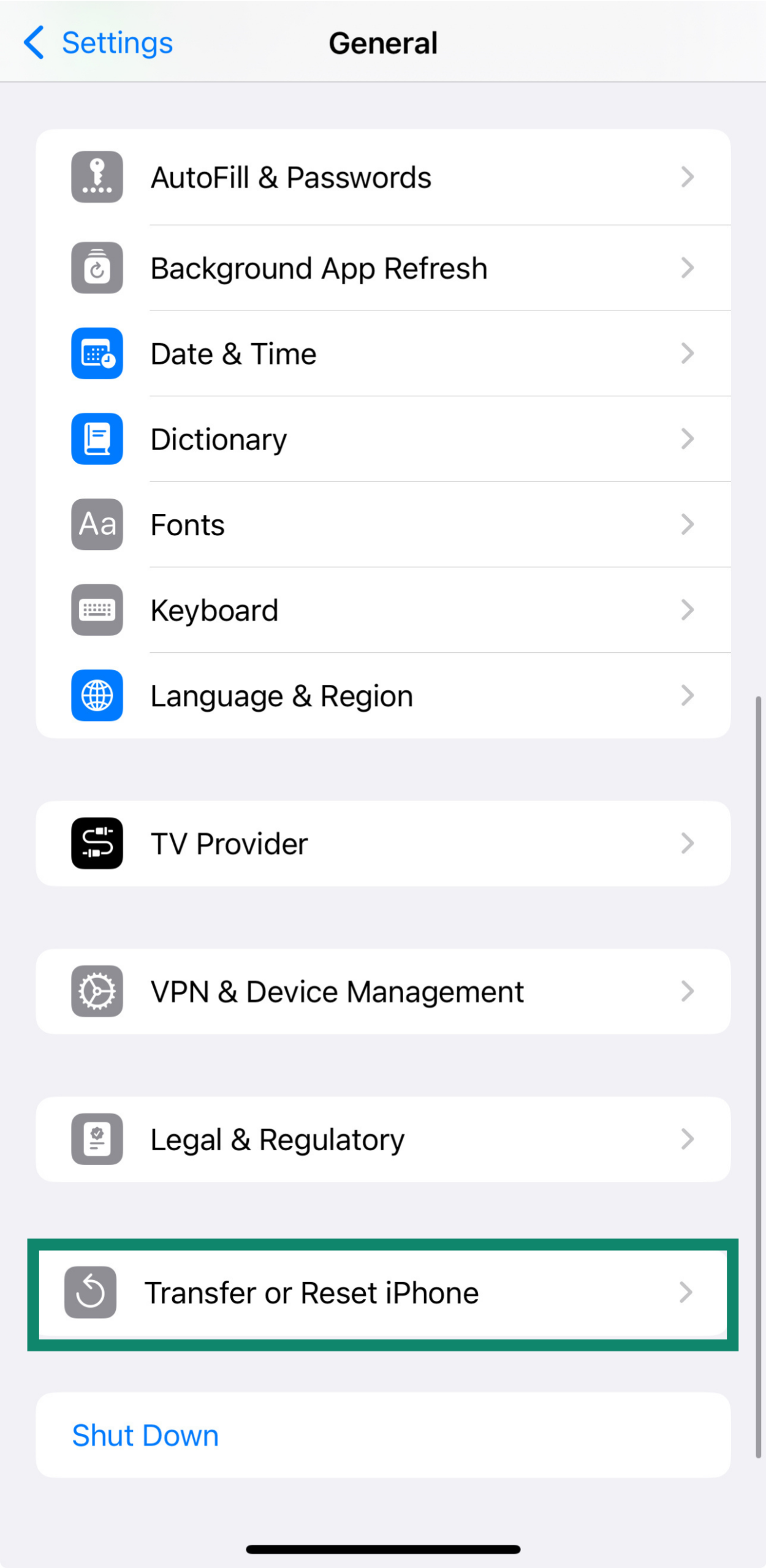 iPhone Settings for Transfer or Reset iPhone option