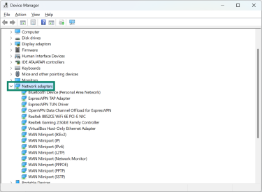 The Device Manager, highlighting the "Network adapters" option.